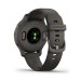 Смарт-часы Garmin Venu 2S, Grey + Slate (010-02429-10)