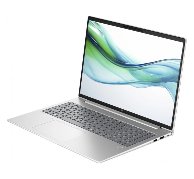 Ноутбук HP ProBook 460 G11 (8Z680AV_V2)