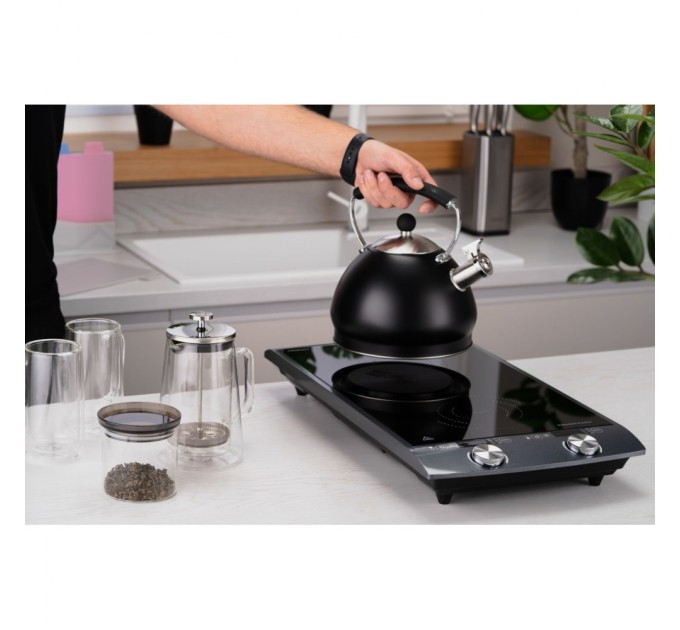 Настільна плита Ardesto ICS-B216