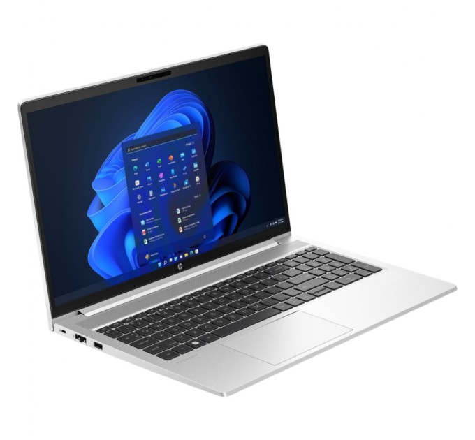 Ноутбук HP ProBook 455 G10 (719F9AV_ITM1)