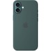 Чохол до мобільного телефона Apple iPhone 16 Plus Silicone Case with MagSafe - Lake Green (MYYH3ZM/A)