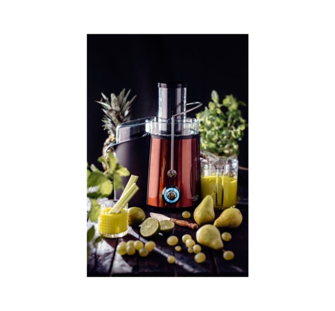 Соковижималка Adler AD 4129