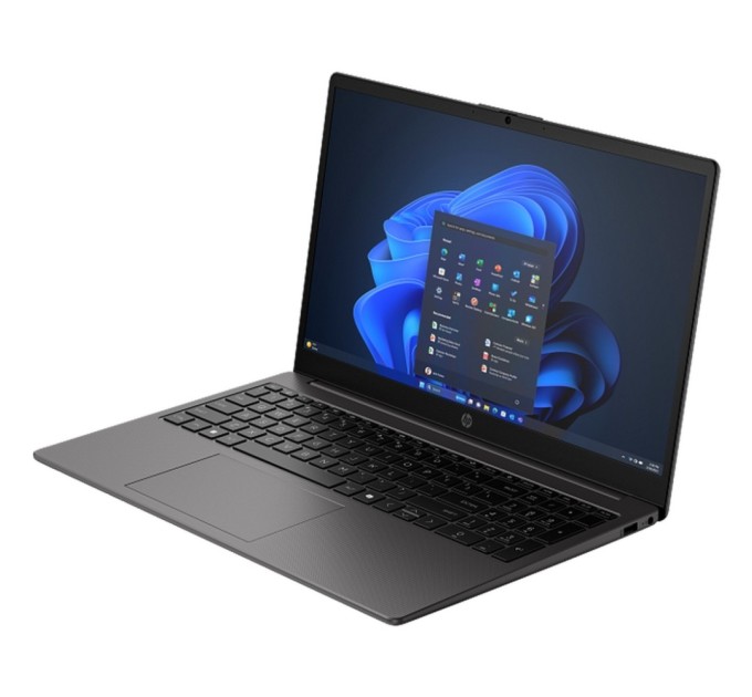 Ноутбук HP 255R G10 (C5MC5AT)