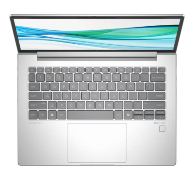 Ноутбук HP ProBook 445 G11 (8Z9P4AV_V2)