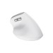 Мишка Trust Bayo 2 Ergonomic Wireless/USB-A White (25146)