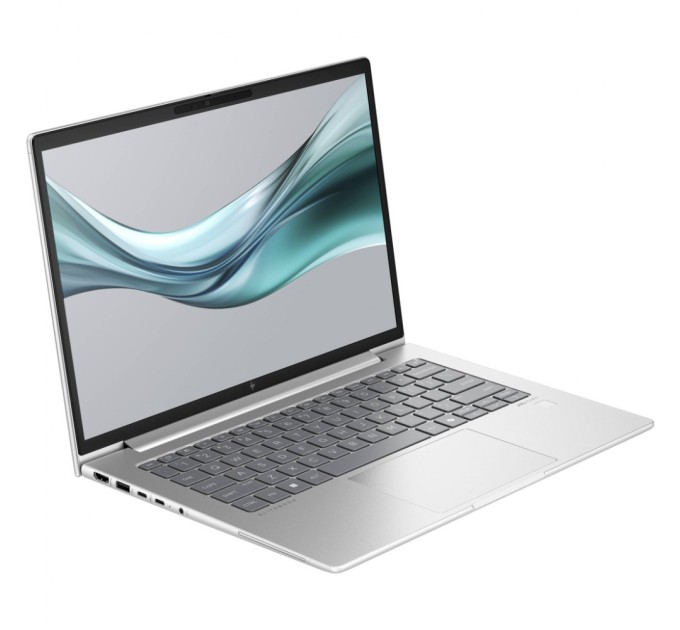 Ноутбук HP EliteBook 645 G11 (8Z3N0AV_V4)