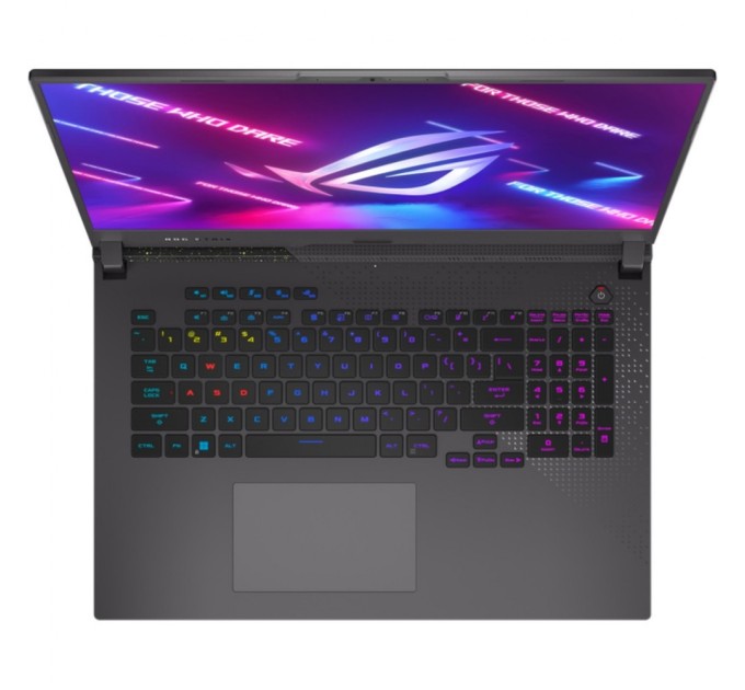 Ноутбук ASUS ROG Strix G17 G713PI-LL097 (90NR0GG4-M008B0)