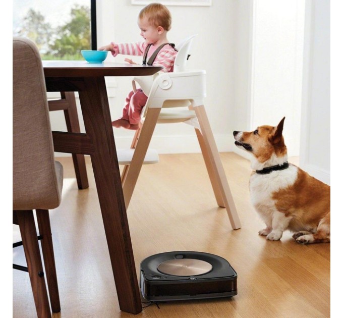 Пилосос iRobot Roomba S9+ (s955840)