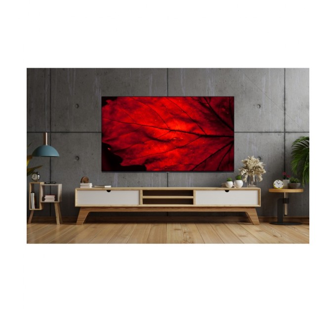 Телевізор AIWA 55GO70804UHD