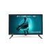Телевізор Ozonehd 24FN22T2