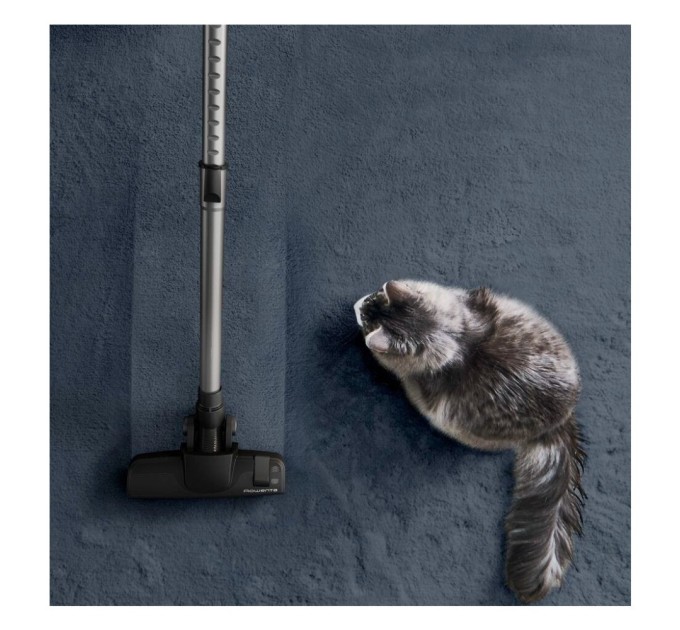 Пилосос Rowenta RO7C89EA