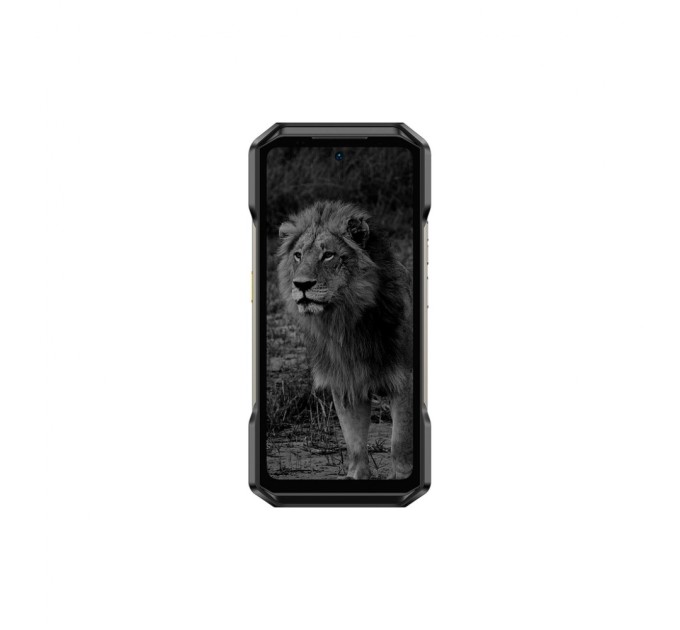 Мобільний телефон Ulefone Armor 27 Pro 12/256Gb Black (6975326662840)