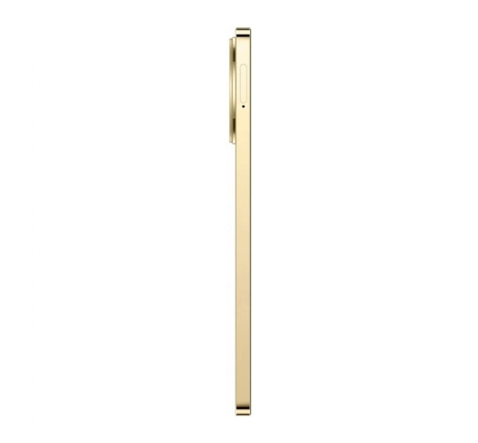 Мобільний телефон realme 11 4G 8/256GB Gold