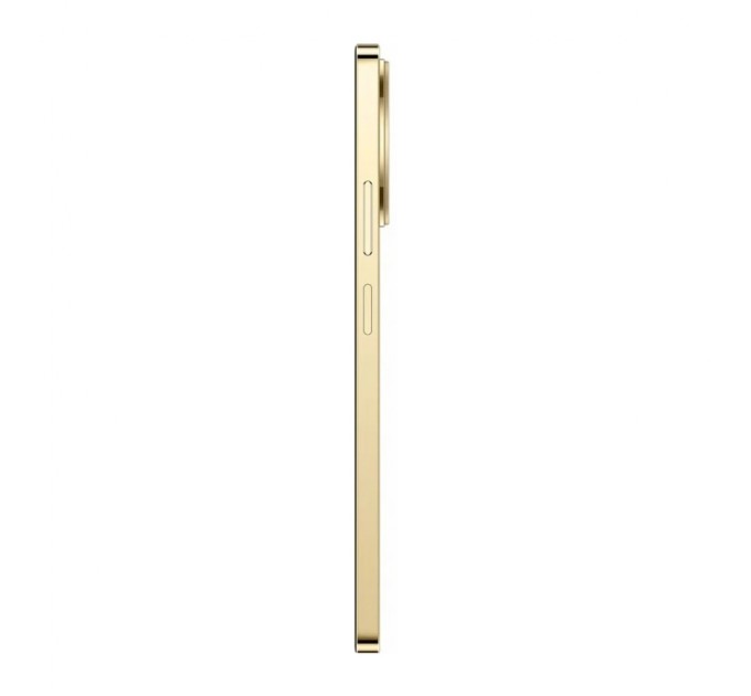 Мобільний телефон realme 11 4G 8/256GB Gold