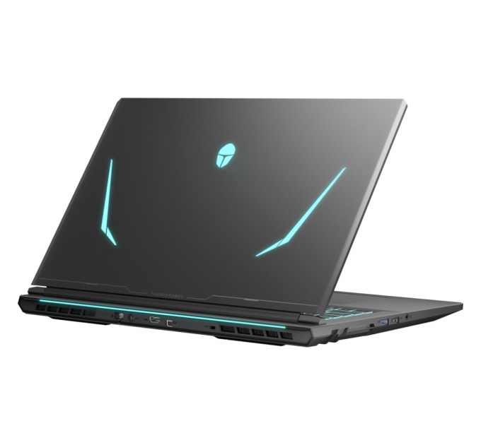 Ноутбук Thunderobot 911 X17 (911X17-i7136H56C1Q165MBD)