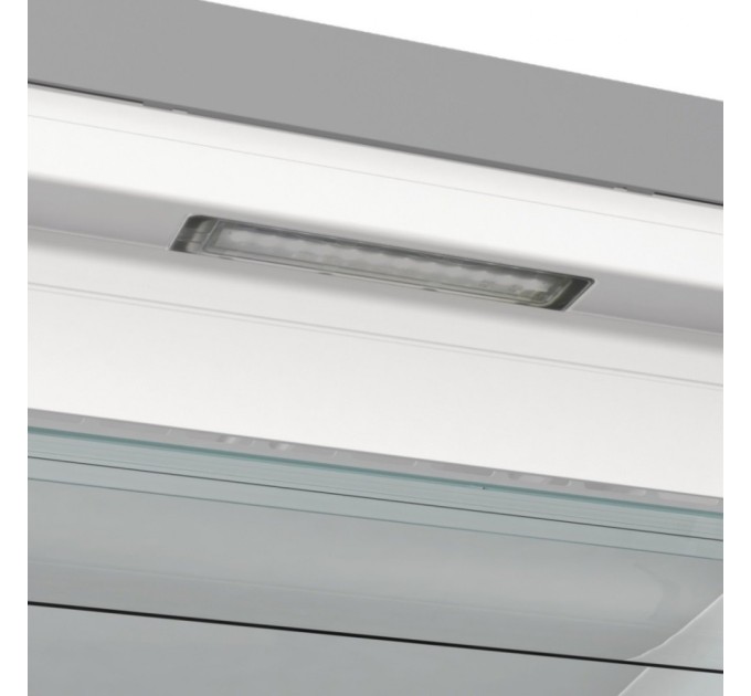 Морозильная камера Gorenje FN619EAXL6