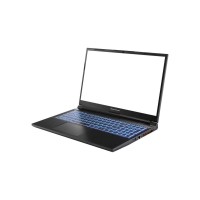 Ноутбук Dream Machines RG4050-17 (RG4050-15UA29)