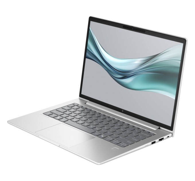 Ноутбук HP EliteBook 645 G11 (8Z3N0AV_V3)