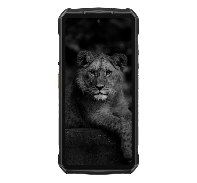 Мобільний телефон Ulefone Armor 29 Pro 16/512Gb Black (6975326668224)