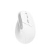 Мишка Trust Bayo II Ergonomic Wireless White (25398)