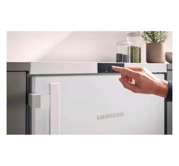 Морозильна камера Liebherr FNE1404