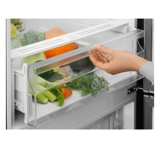 Холодильник Electrolux LNT5ME36U1