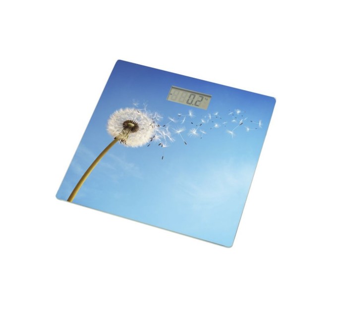 Ваги підлогові Grunhelm BES-BLB