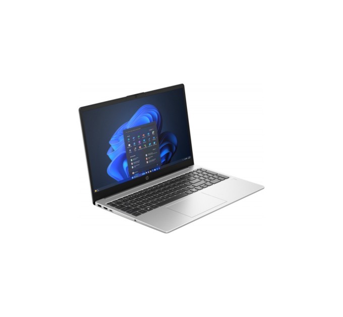 Ноутбук HP 255R G10 (CV4P9AT)