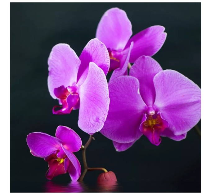 Обігрівач Trio Фіолетовий настрій (RL075580)