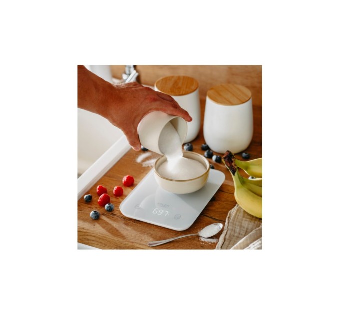 Ваги кухонні Adler AD 3181 grey