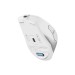 Мишка A4Tech FB45CS Air Wireless/Bluetooth Silver White (4711421993289)