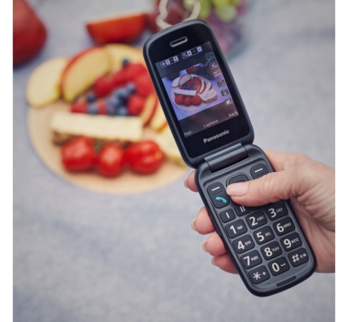 Мобільний телефон Panasonic KX-TU550 Grey (KX-TU550EXC)