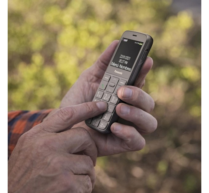 Мобільний телефон Panasonic KX-TU160 Grey (KX-TU160EXG)