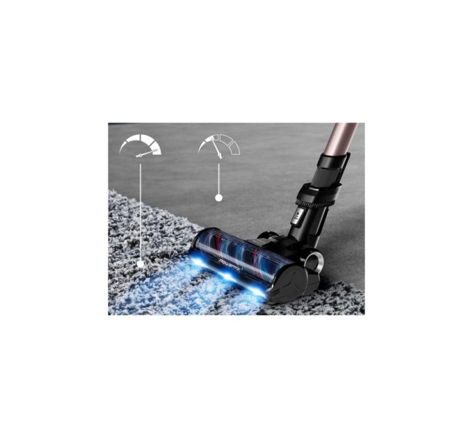 Пилосос Rowenta RH9CD9E0