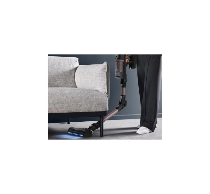 Пилосос Rowenta RH9CD9E0