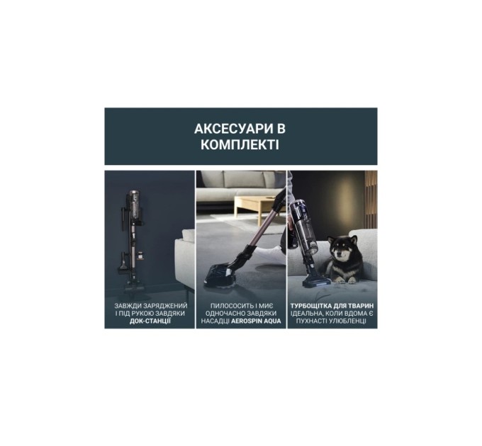 Пилосос Rowenta RH9CD9E0