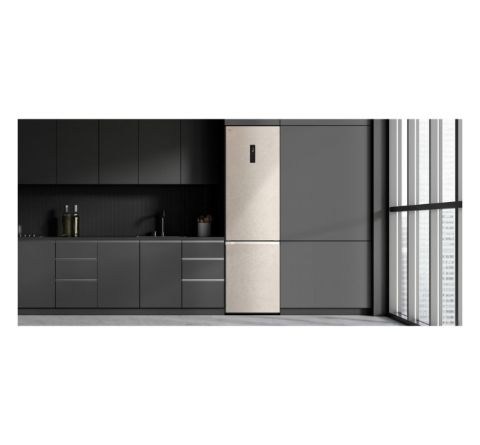 Холодильник LG GC-B509FEPW