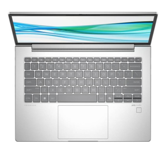 Ноутбук HP ProBook 445 G11 (8Z9P8AV_V1)