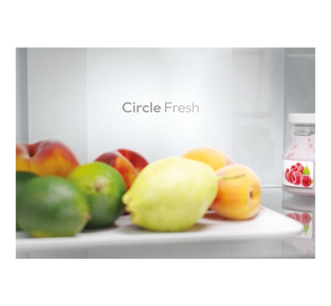 Холодильник Candy CNCQ2T618EB