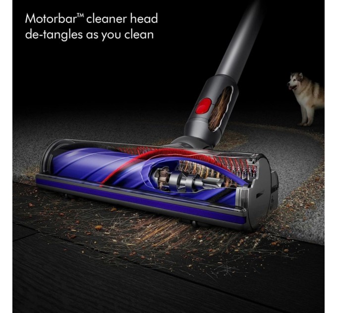 Пилосос Dyson 446976-01