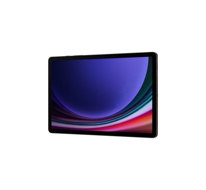 Планшет Samsung Galaxy Tab S9 WiFi 8GB/128GB Graphite (SM-X710NZAASEK)