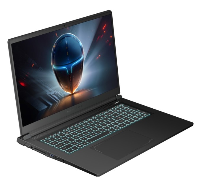Ноутбук Thunderobot 911 X17 (911X17-i7136H56C1Q165MB)