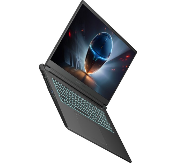 Ноутбук Thunderobot 911 X17 (911X17-i7136H56C1Q165MB)