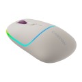 Мишка Canyon MW-22 Dual Band RGB Wireless Rice (CNS-CMSW22RC)