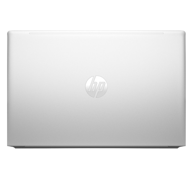 Ноутбук HP ProBook 455 G10 (719F6AV_ITM1)