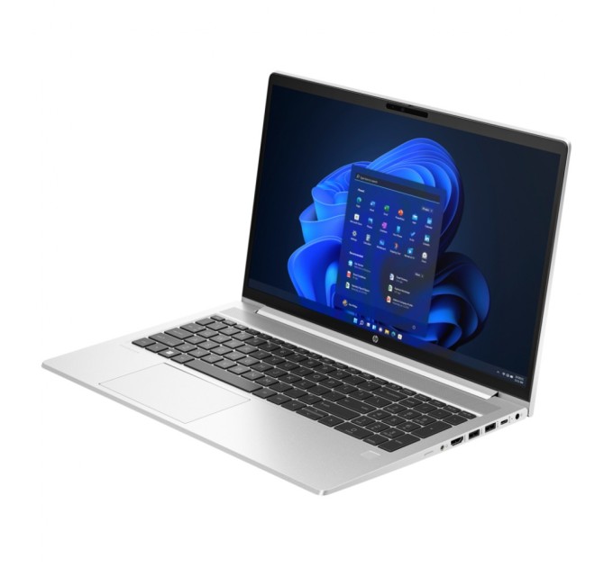Ноутбук HP ProBook 455 G10 (719F5AV_V1)