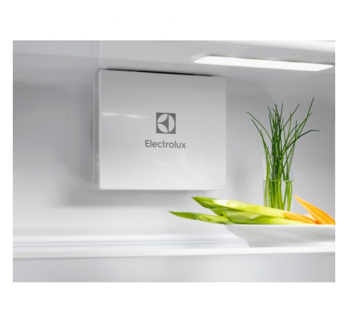 Холодильник Electrolux ERD6DE18S1