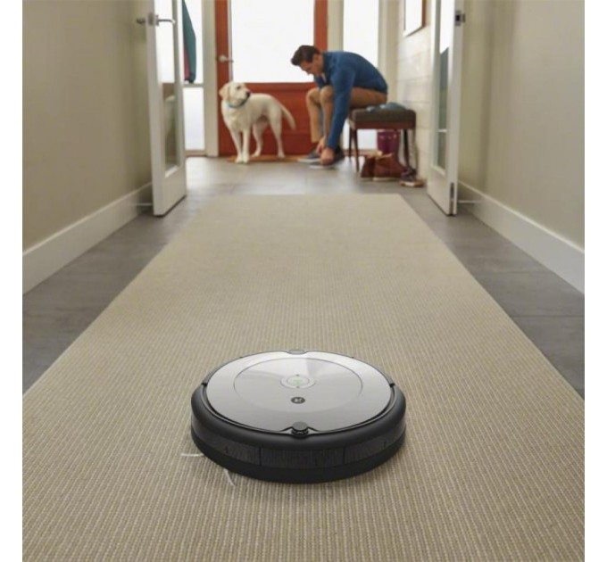 Пылесос iRobot Roomba 698 (R698040)