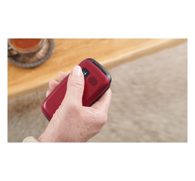 Мобільний телефон Panasonic KX-TU446 Red (KX-TU446EXR)