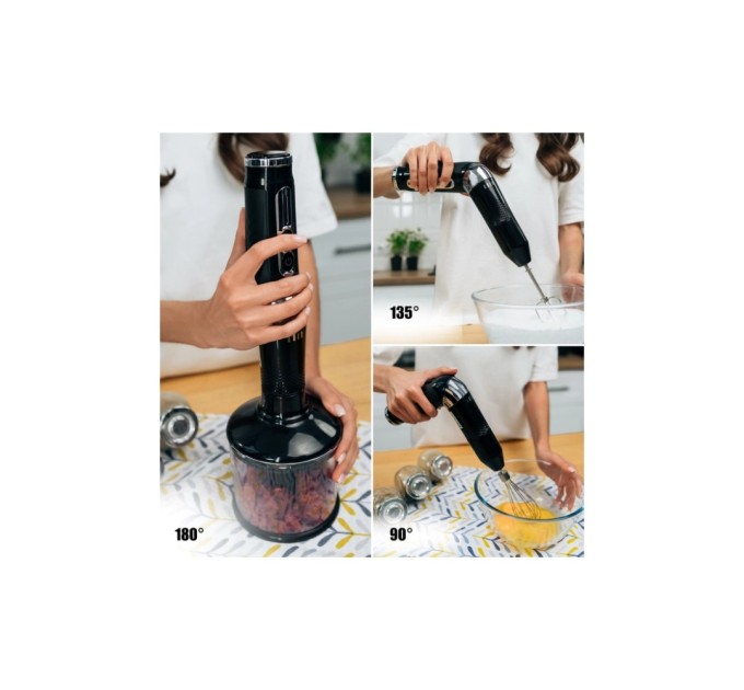 Блендер QUIN RHB-301